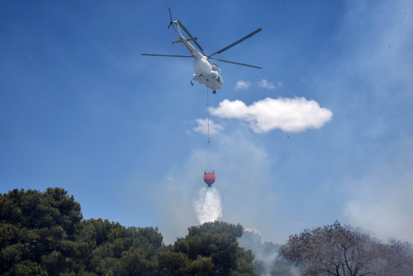 Doğal sit alanı Lara ormanında yangın - Resim: 5