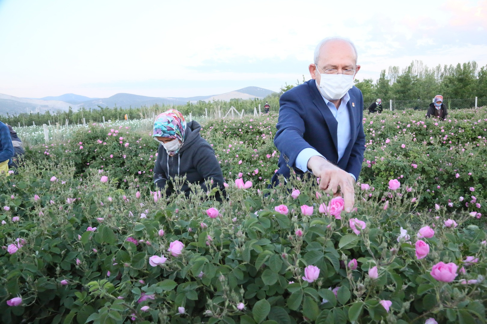Kılıçdaroğlu gün doğumunda işçilerle gül topladı - Resim: 5