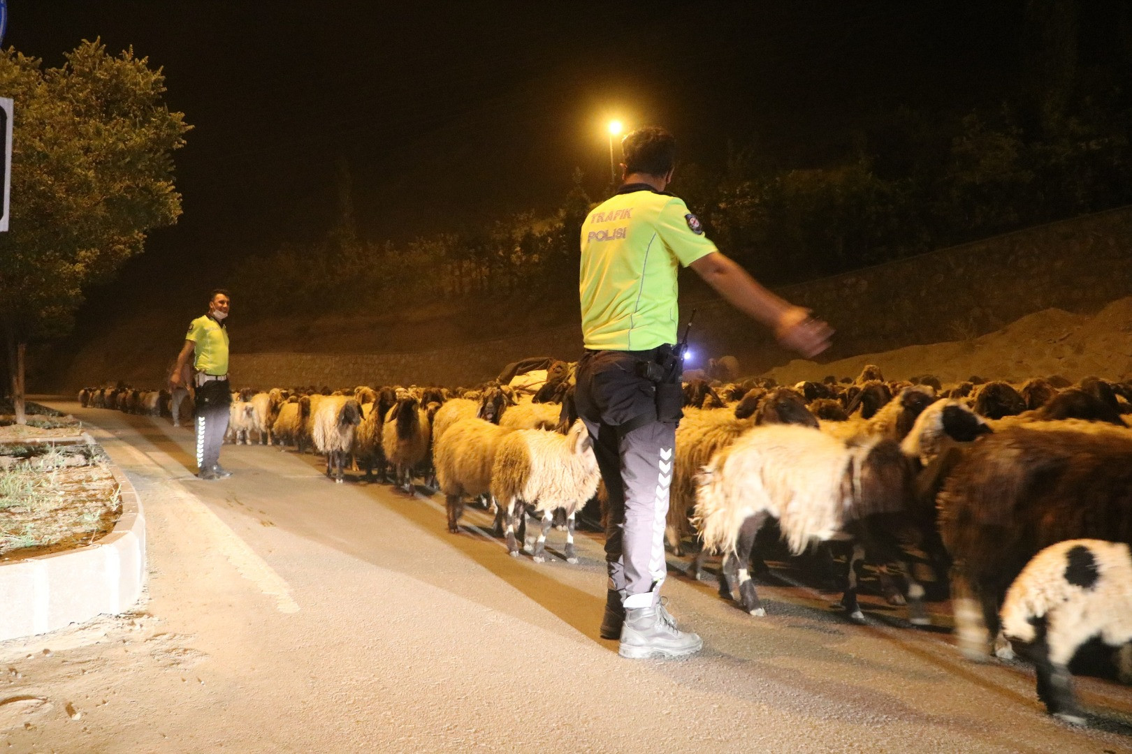 Hakkari'de National Geographic - Resim: 5