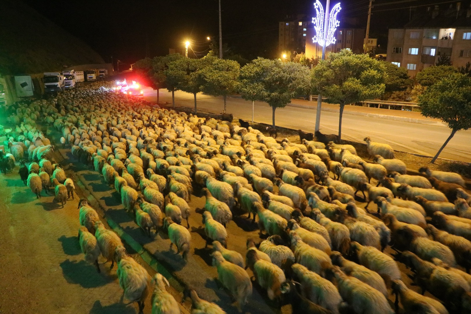 Hakkari'de National Geographic - Resim: 1