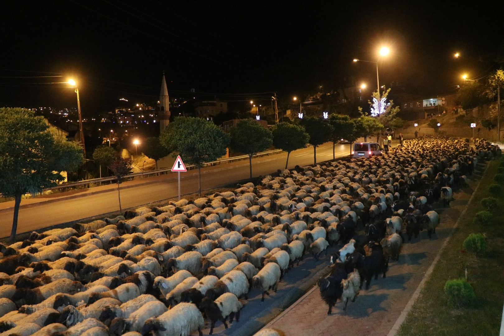 Hakkari'de National Geographic - Resim: 4