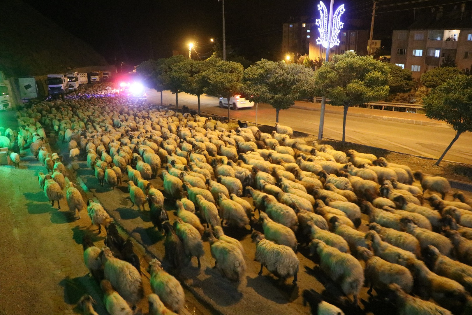 Hakkari'de National Geographic - Resim: 8