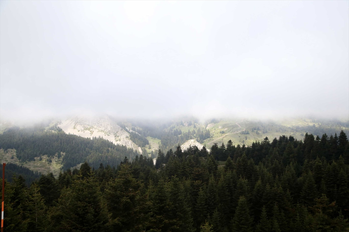 Ilgaz Dağı'nın zirvesinde kartpostallık görüntüler - Resim: 10