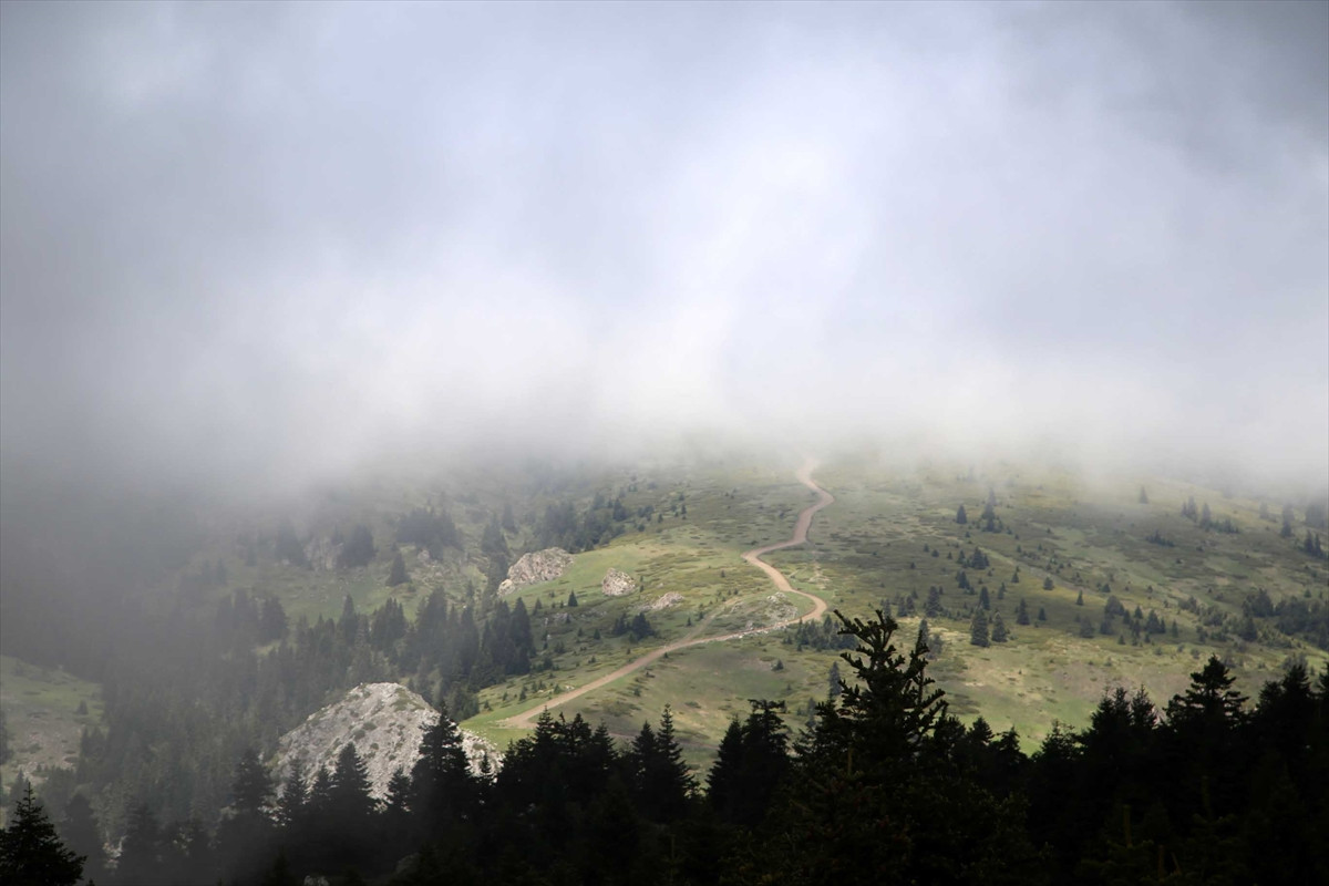 Ilgaz Dağı'nın zirvesinde kartpostallık görüntüler - Resim: 9