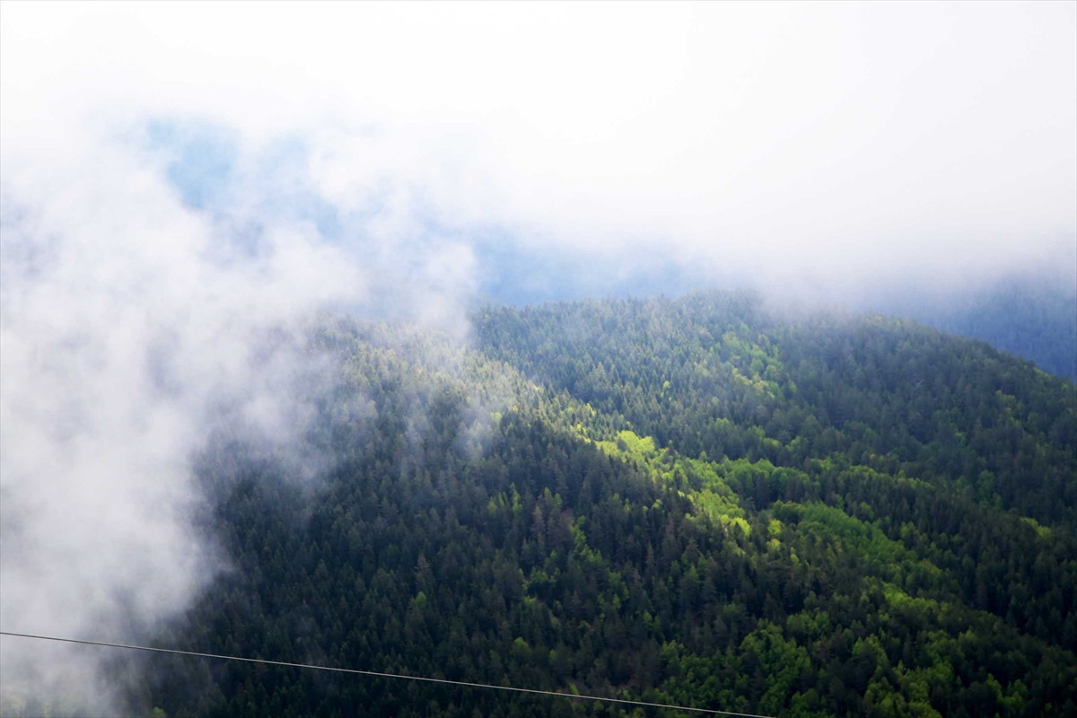 Ilgaz Dağı'nın zirvesinde kartpostallık görüntüler - Resim: 5