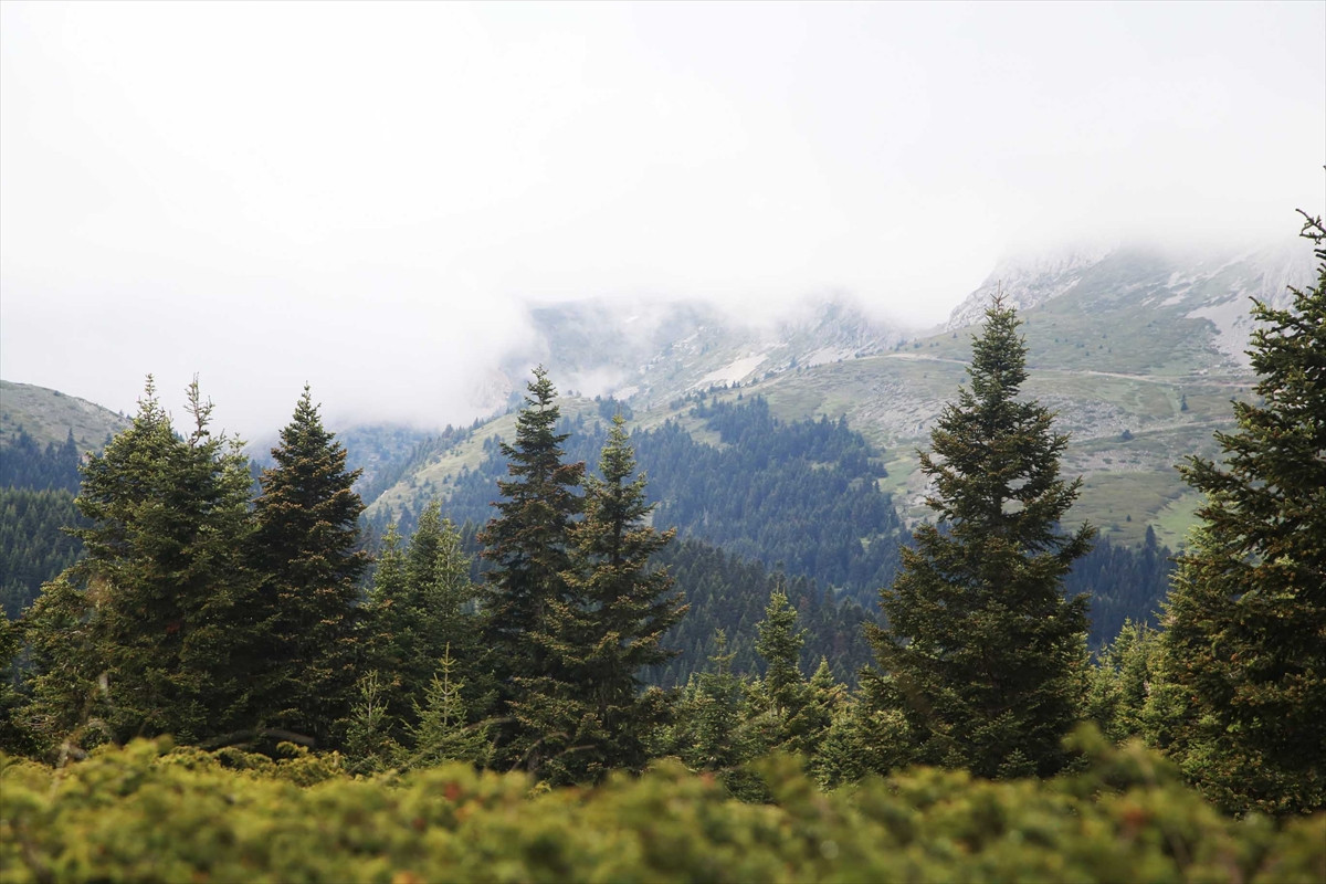 Ilgaz Dağı'nın zirvesinde kartpostallık görüntüler - Resim: 7