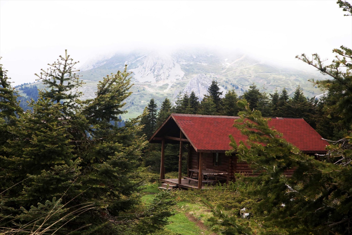 Ilgaz Dağı'nın zirvesinde kartpostallık görüntüler - Resim: 2