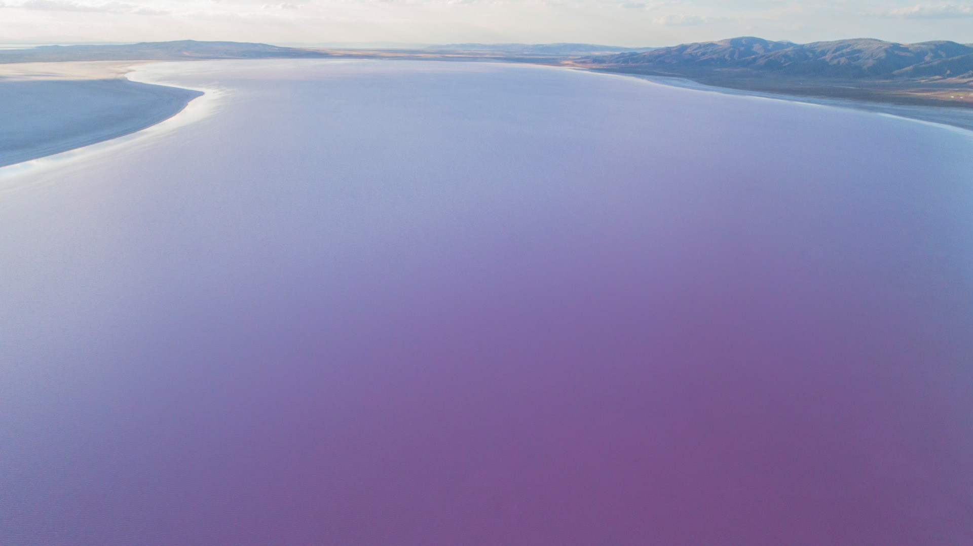 Tuz Gölü'ndeki pembeleşmenin nedeni belli oldu - Resim: 5