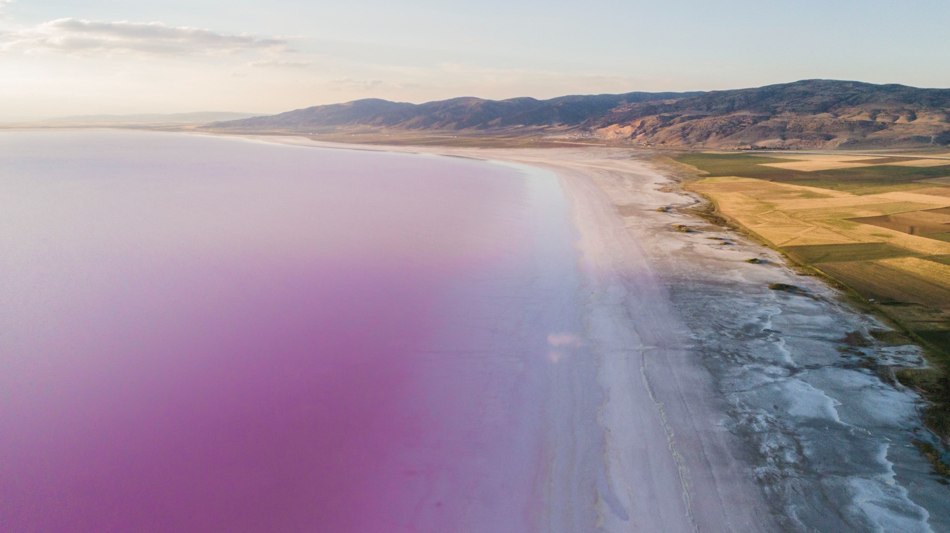 Tuz Gölü'ndeki pembeleşmenin nedeni belli oldu - Resim: 4