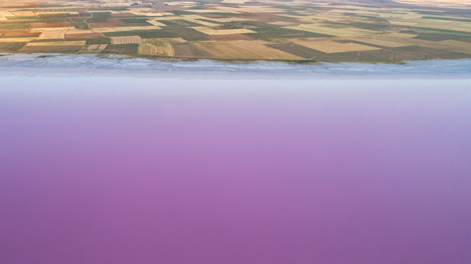 Tuz Gölü'ndeki pembeleşmenin nedeni belli oldu - Resim: 2