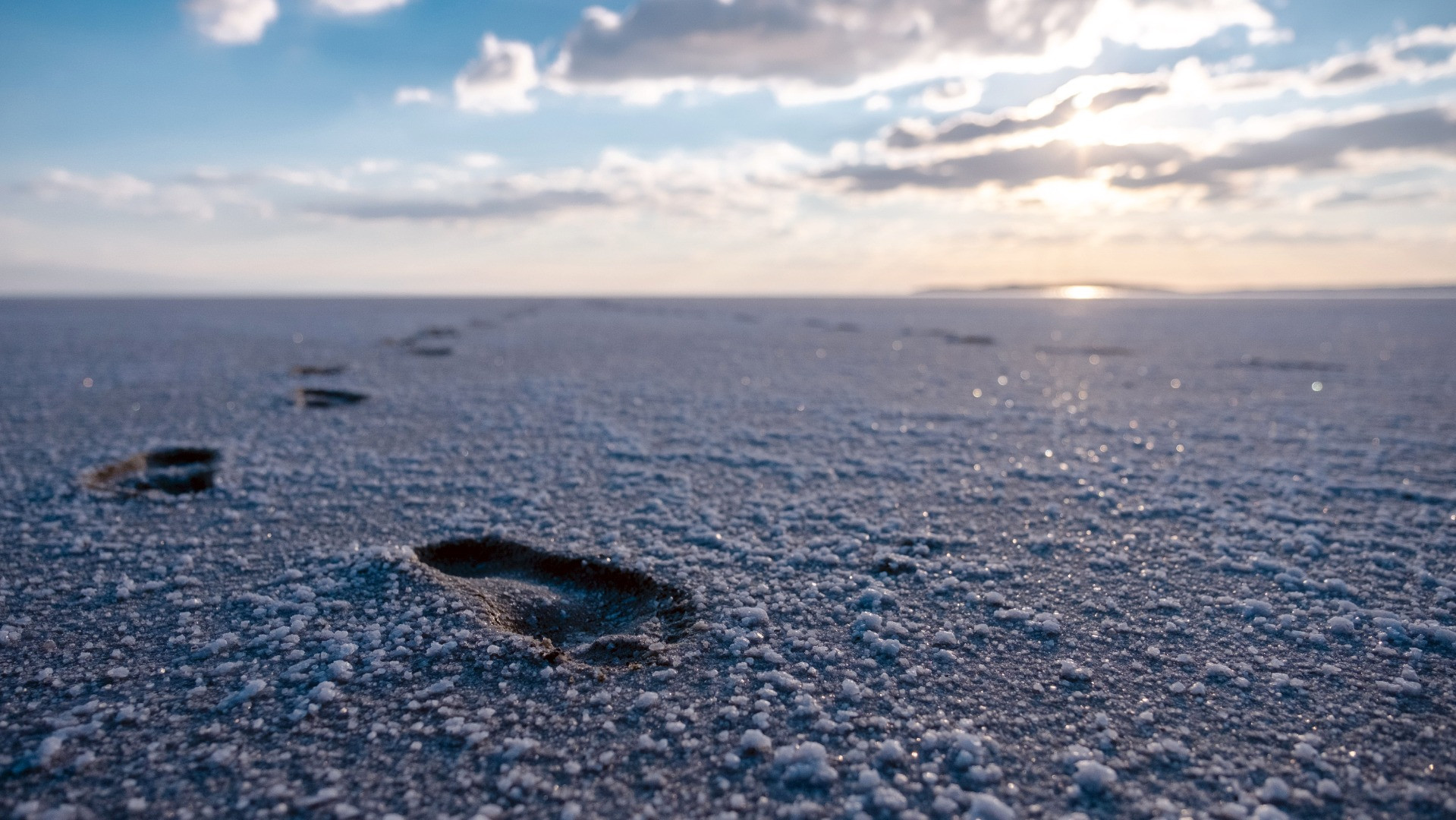 Tuz Gölü'ndeki pembeleşmenin nedeni belli oldu - Resim: 12