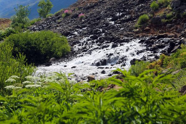Munzur Gözeleri güzelliğiyle turistlerin ilgi odağı - Resim: 12