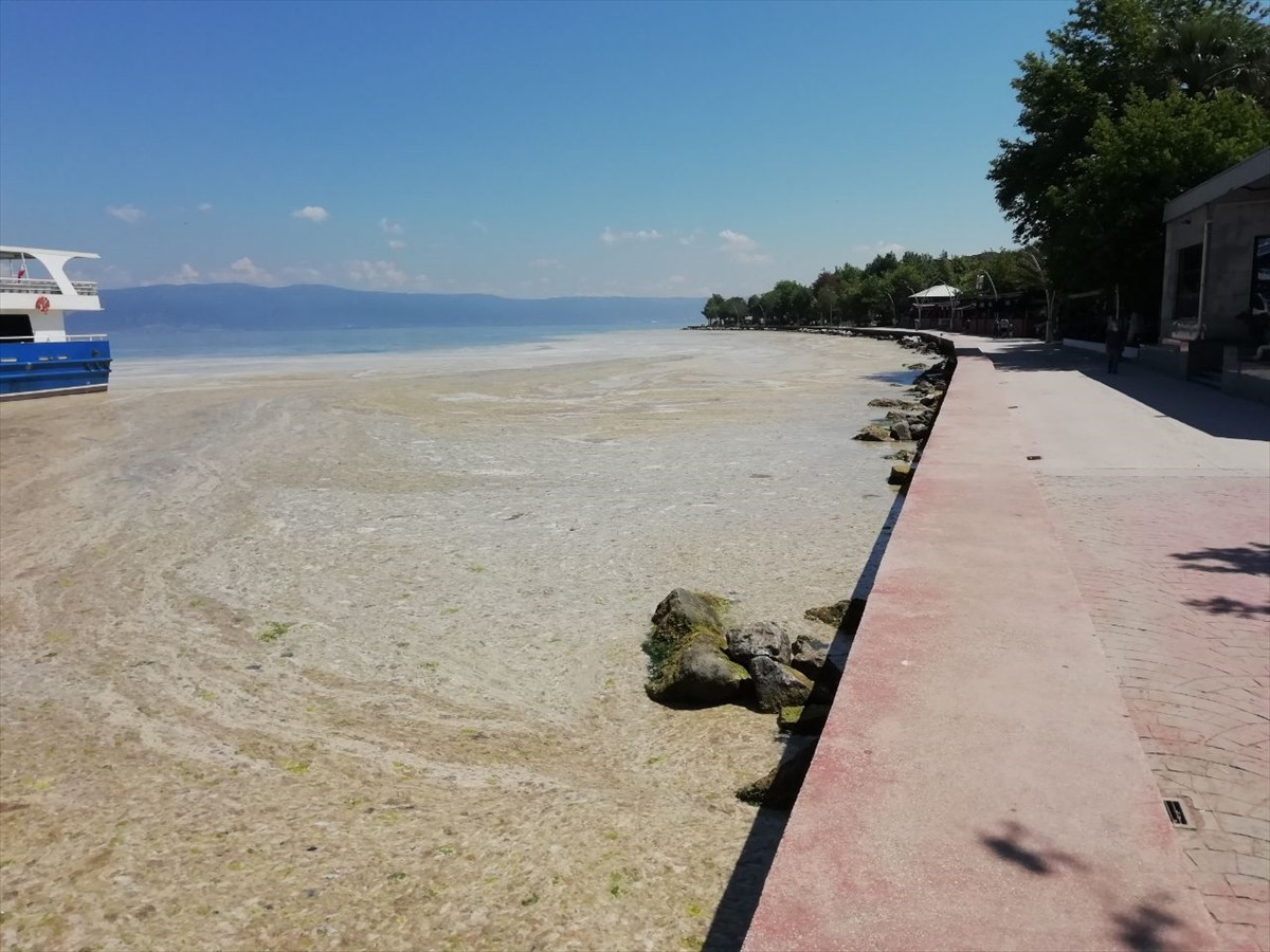 İzmit Körfezi'nde deniz salyası felaketi böyle görüntülendi - Resim: 3