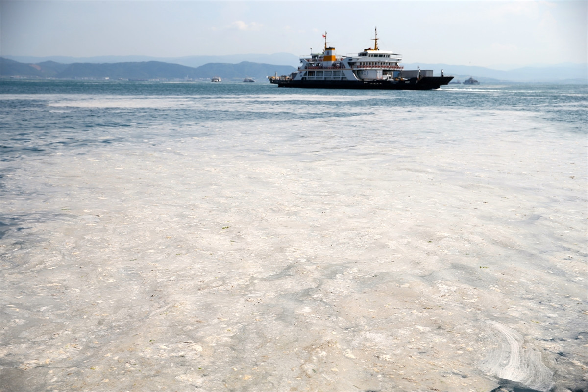 İzmit Körfezi'nde deniz salyası felaketi böyle görüntülendi - Resim: 8