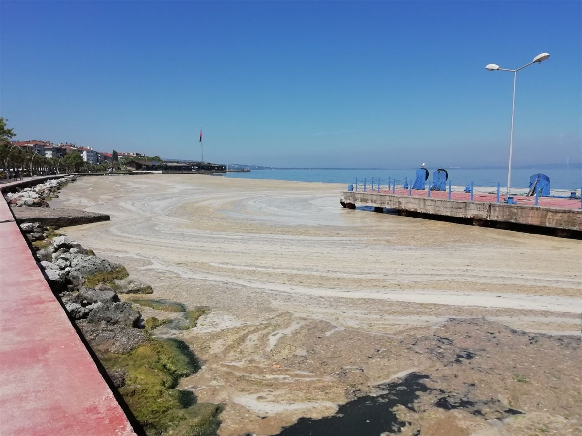 İzmit Körfezi'nde deniz salyası felaketi böyle görüntülendi - Resim: 1