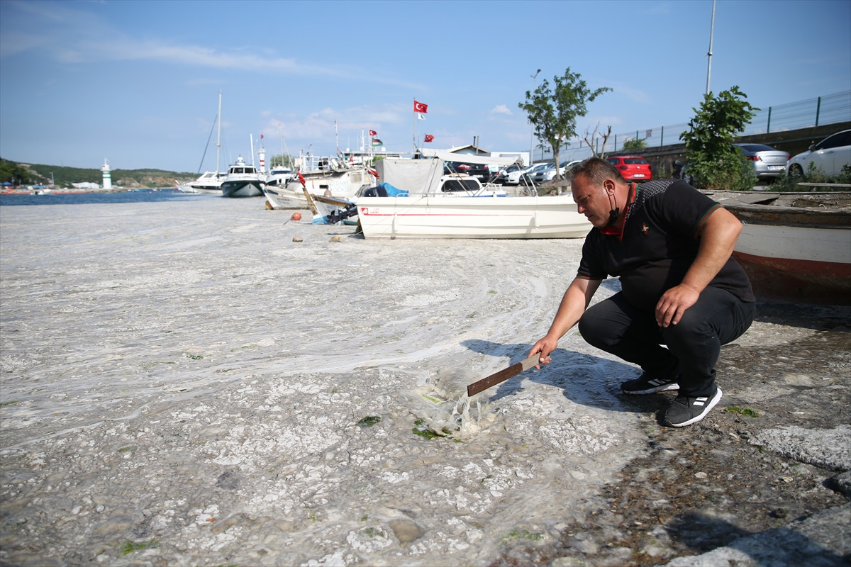 İzmit Körfezi'nde deniz salyası felaketi böyle görüntülendi - Resim: 12