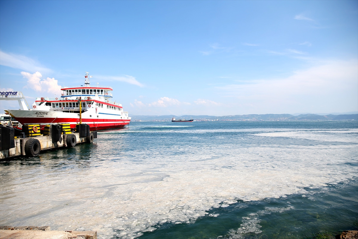 İzmit Körfezi'nde deniz salyası felaketi böyle görüntülendi - Resim: 6