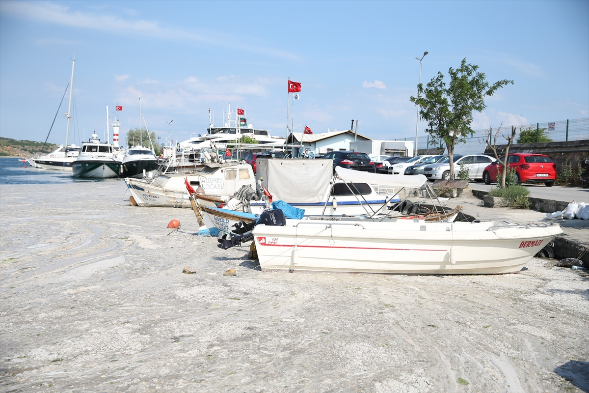 İzmit Körfezi'nde deniz salyası felaketi böyle görüntülendi - Resim: 11