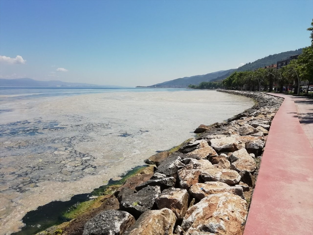 İzmit Körfezi'nde deniz salyası felaketi böyle görüntülendi - Resim: 5