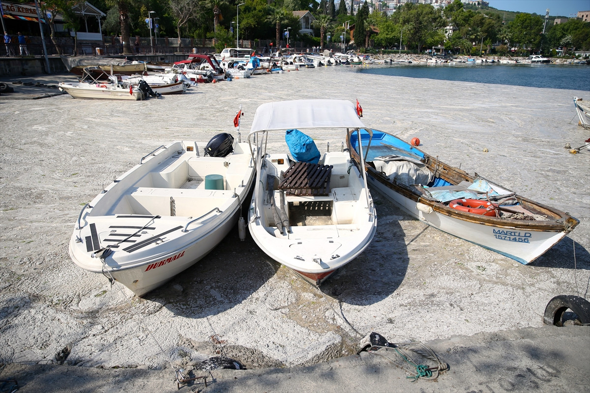 İzmit Körfezi'nde deniz salyası felaketi böyle görüntülendi - Resim: 13
