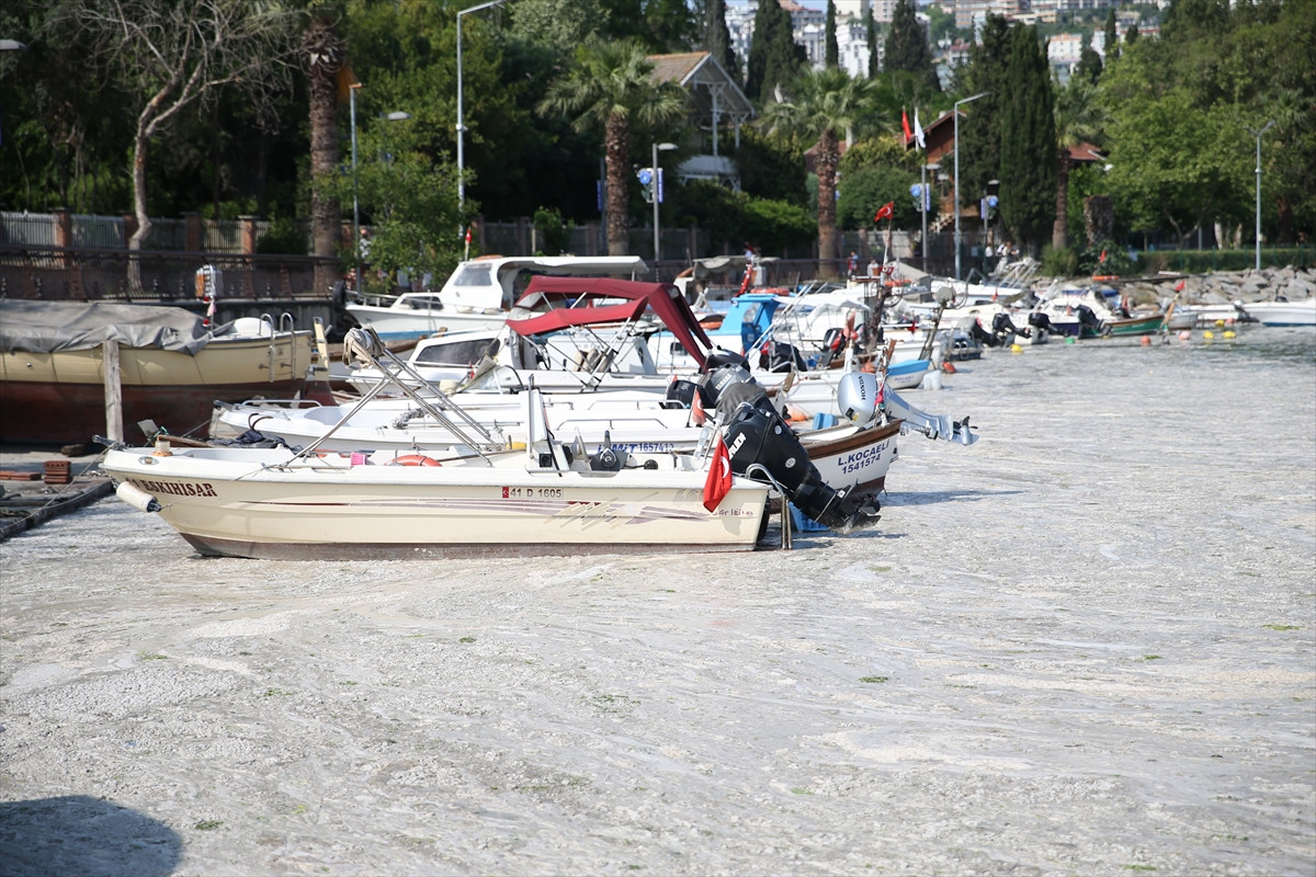 İzmit Körfezi'nde deniz salyası felaketi böyle görüntülendi - Resim: 10