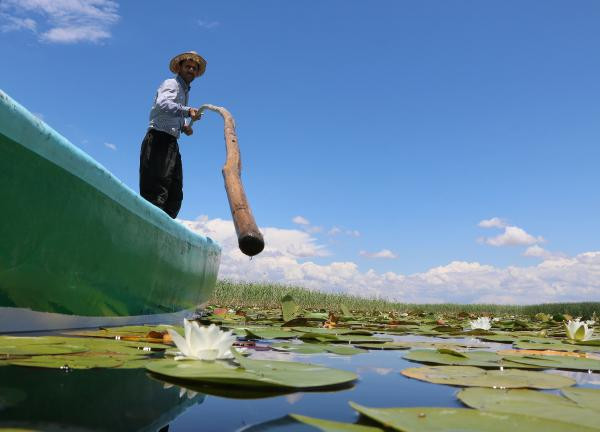 Nilüferleri koparmanın cezası 73 bin TL - Resim: 11