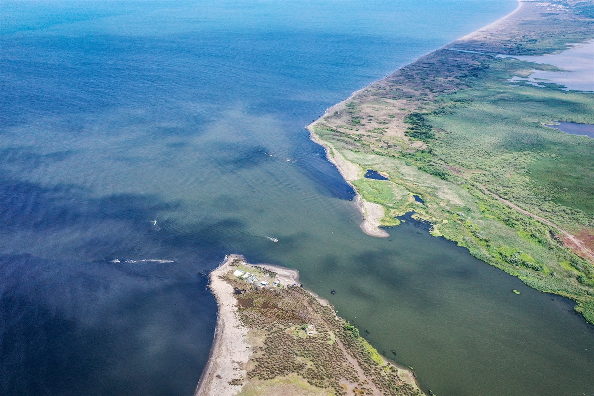 Nilüfer Çayı simsiyah akmaya devam ediyor. Marmara ne yapsın ki - Resim: 17
