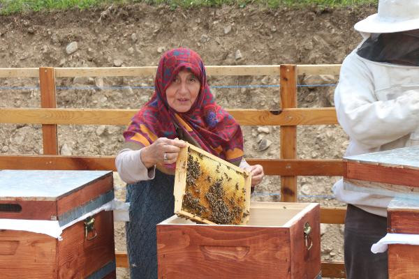 Anzer balında üretim sezonu açıldı yüzlerce sipariş var - Resim: 11