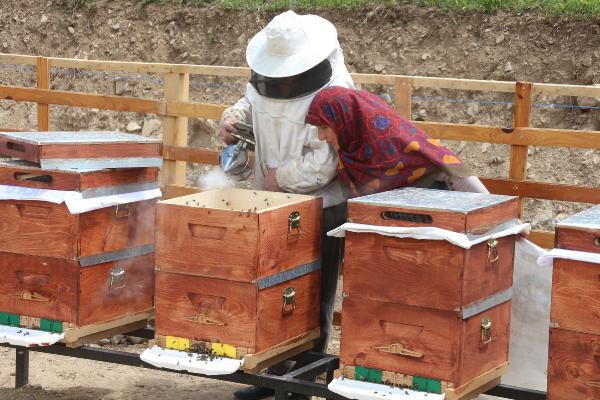 Anzer balında üretim sezonu açıldı yüzlerce sipariş var - Resim: 9