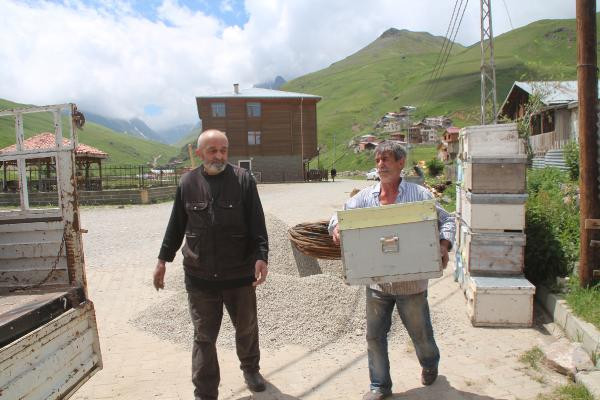 Anzer balında üretim sezonu açıldı yüzlerce sipariş var - Resim: 7