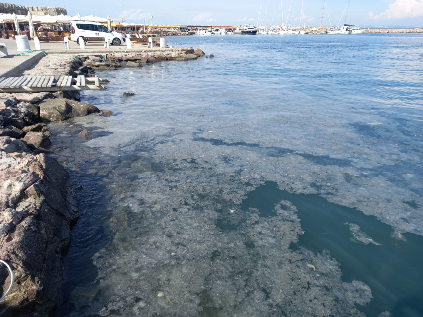 Müsilaj Ege'nin cennet adasını da teslim aldı - Resim: 9