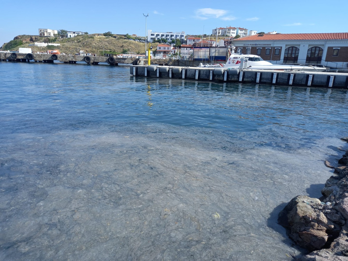 Müsilaj Ege'nin cennet adasını da teslim aldı - Resim: 8