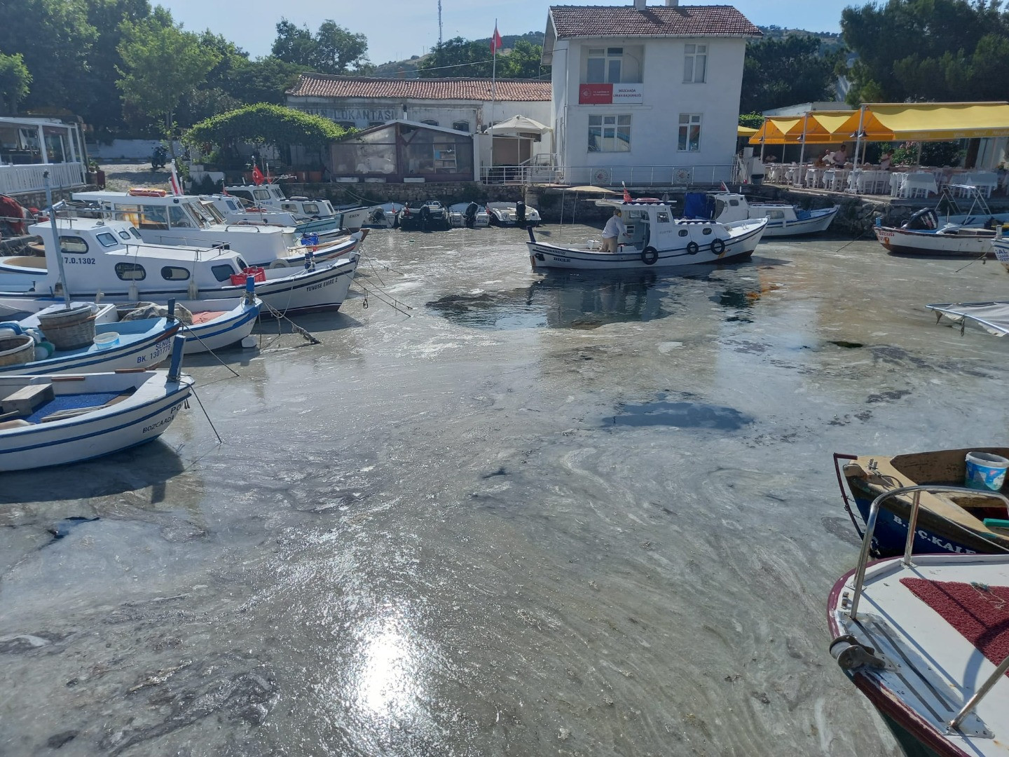 Müsilaj Ege'nin cennet adasını da teslim aldı - Resim: 2