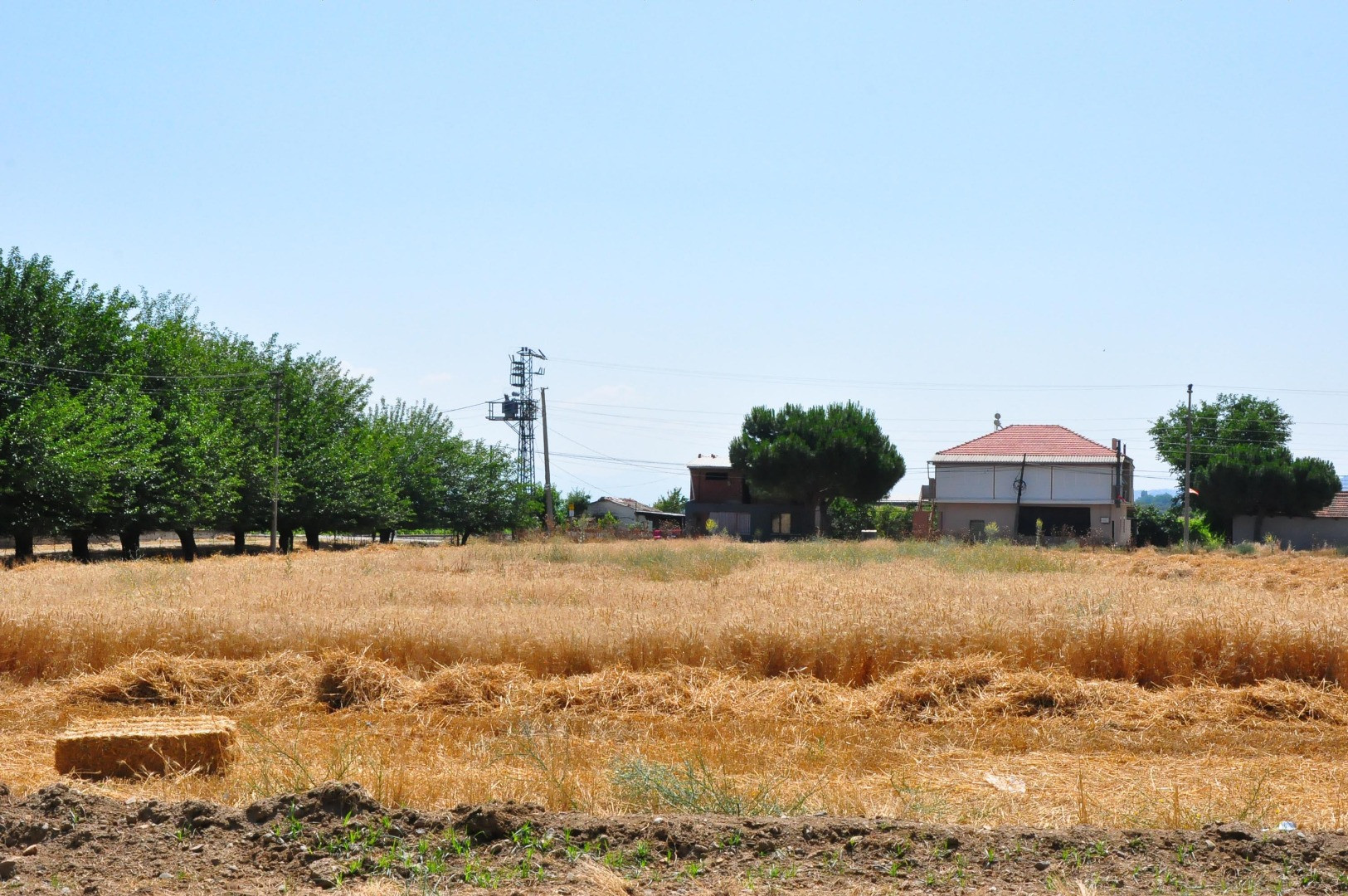 Okul müdürü öğrencileri için çiftçi oldu - Resim: 6