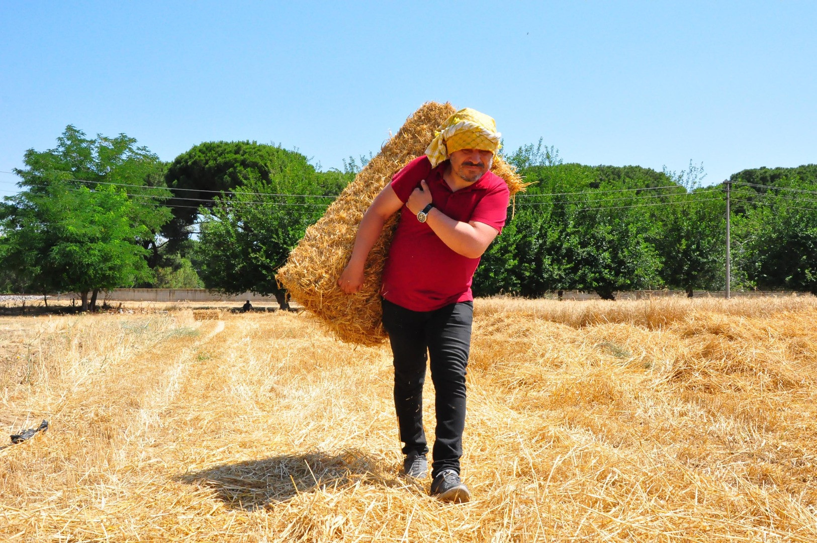 Okul müdürü öğrencileri için çiftçi oldu - Resim: 1