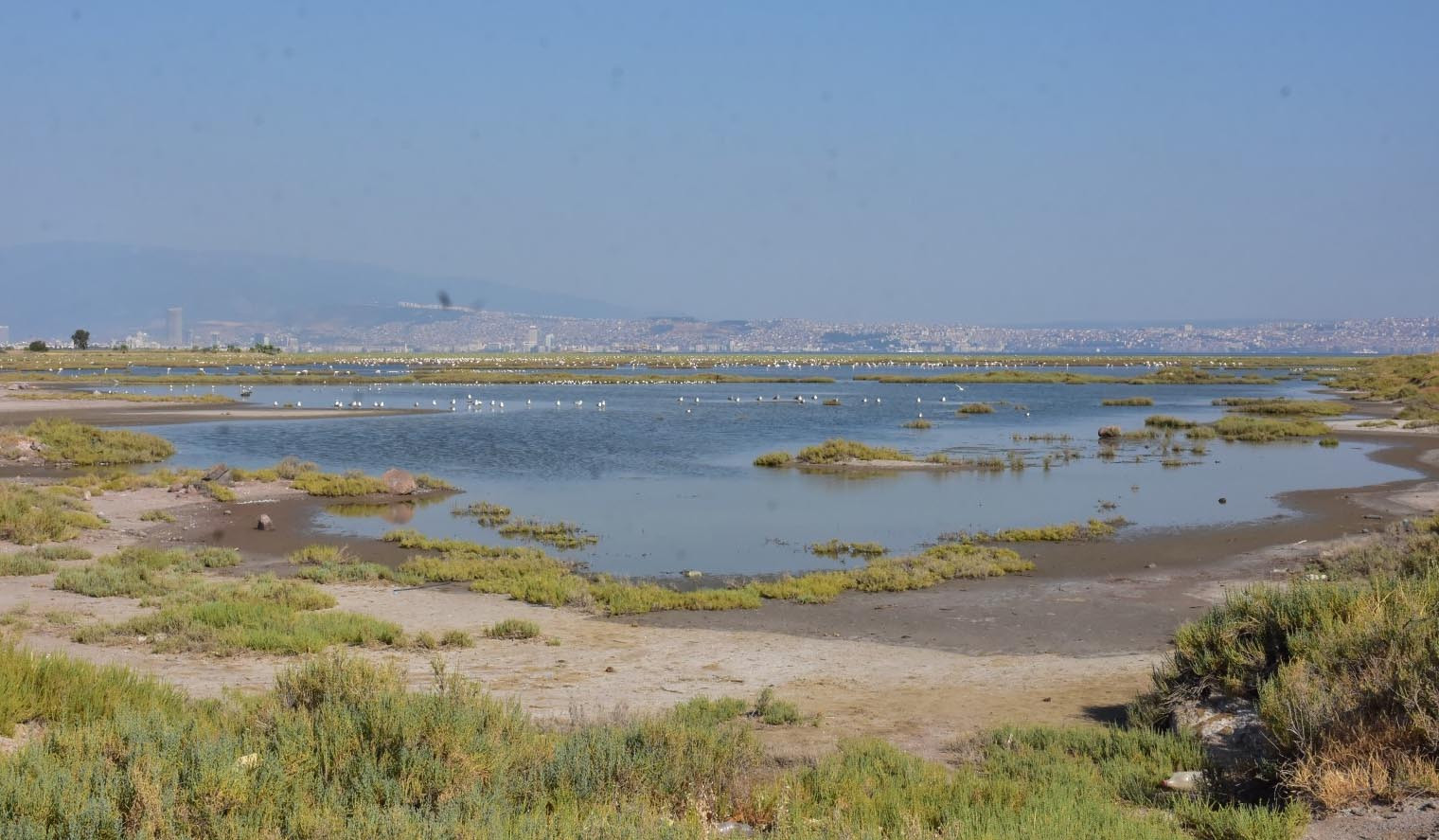 Tuz Gölü'nün ardından bu defa Gediz Deltası! Korkutan manzara - Resim: 4