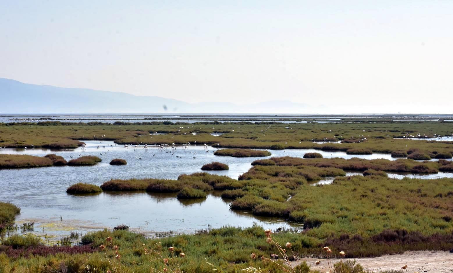 Tuz Gölü'nün ardından bu defa Gediz Deltası! Korkutan manzara - Resim: 2