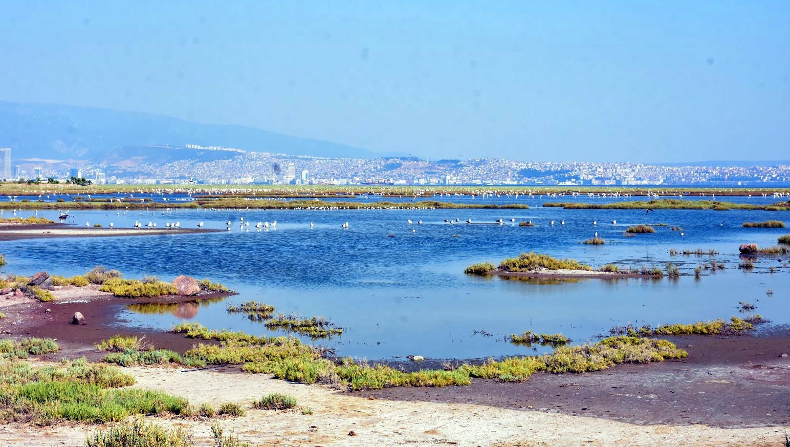 Tuz Gölü'nün ardından bu defa Gediz Deltası! Korkutan manzara - Resim: 3