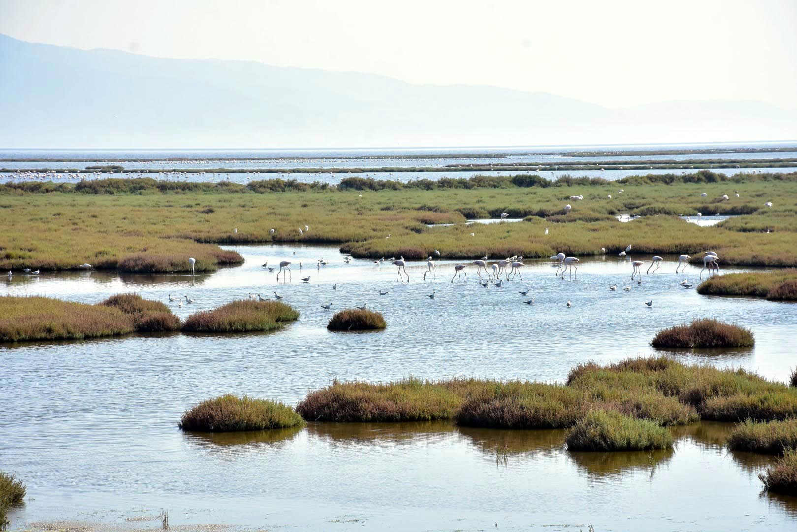 Tuz Gölü'nün ardından bu defa Gediz Deltası! Korkutan manzara - Resim: 1