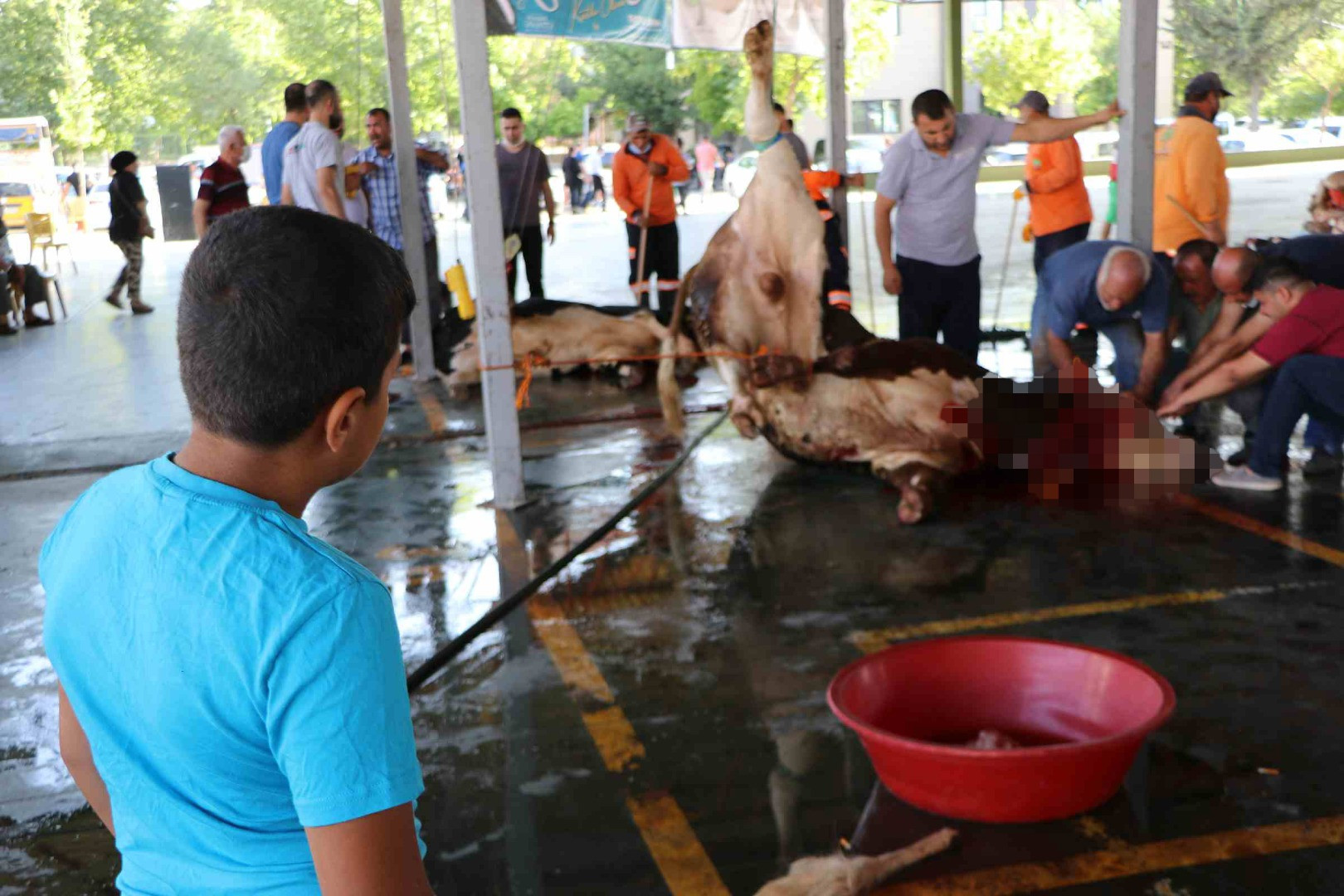 Çocuklara kurban kesimini izlettiler - Resim: 2