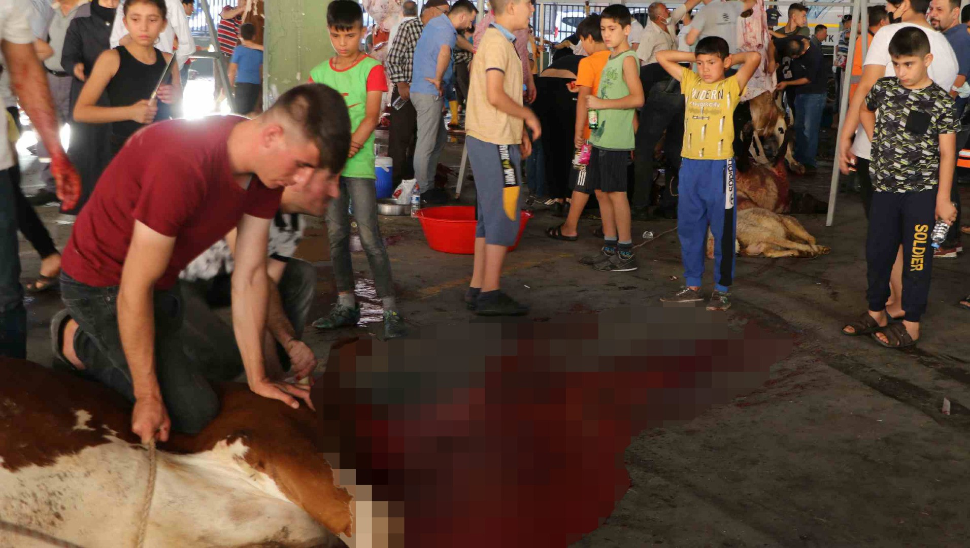 Çocuklara kurban kesimini izlettiler - Resim: 6