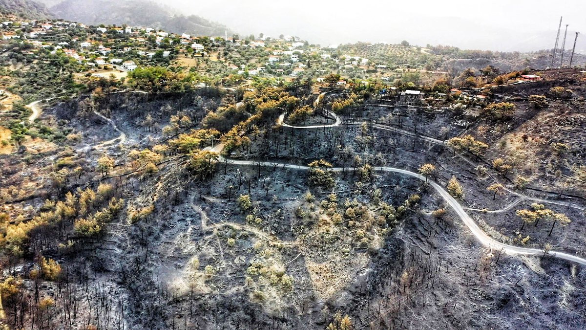 Gökova'da facianın boyutu havadan görüntülendi - Resim: 12