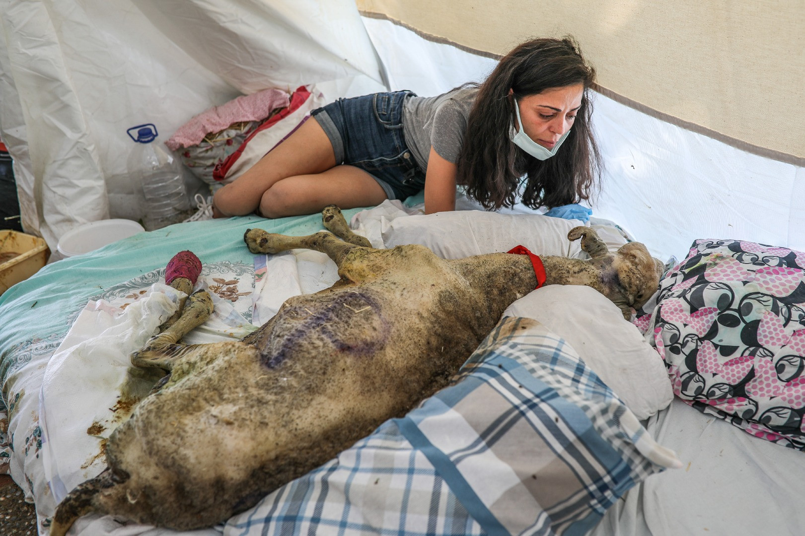 Yangınların acı tablosu ortaya çıktı - Resim: 26