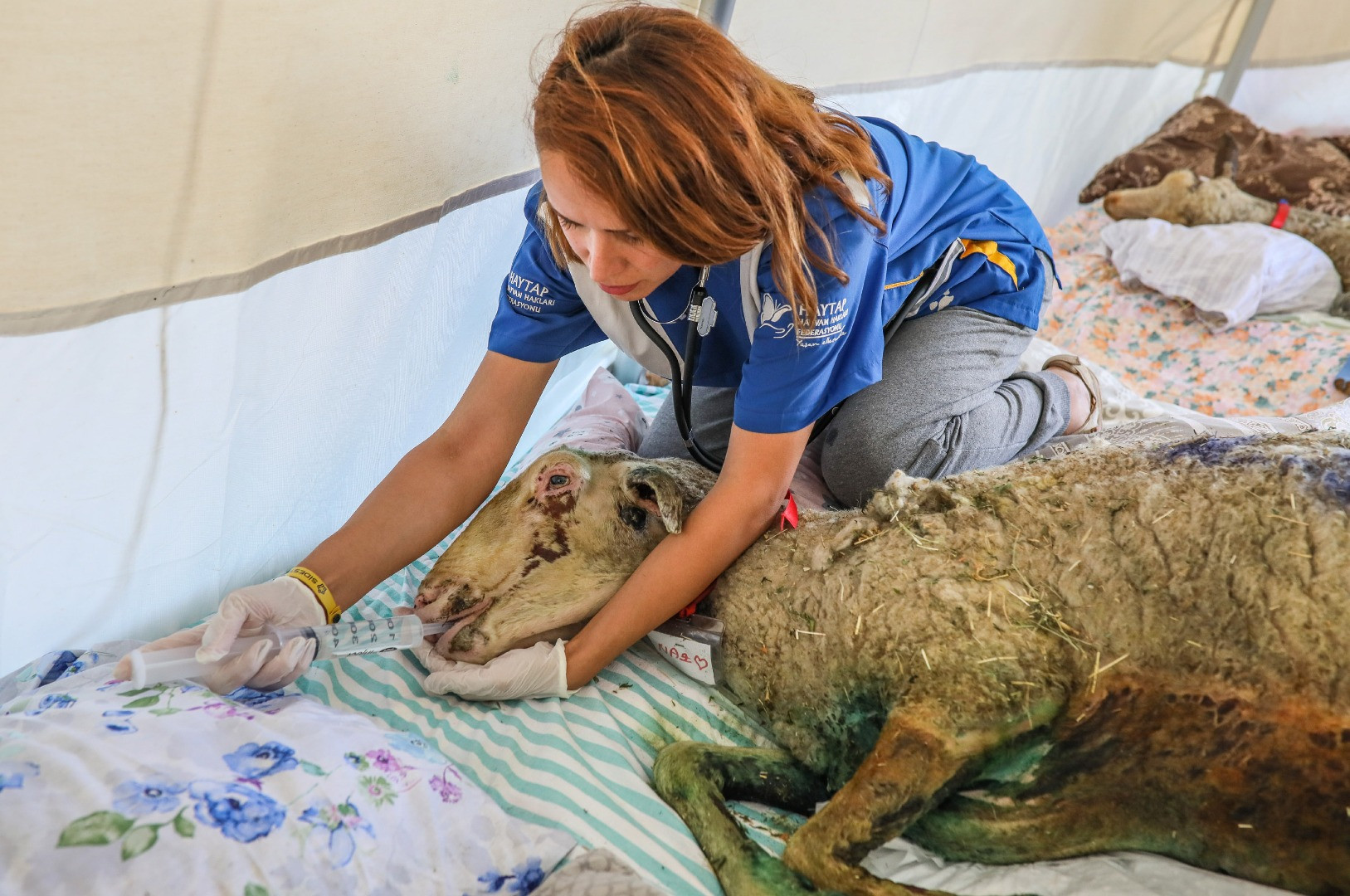Yangınların acı tablosu ortaya çıktı - Resim: 22