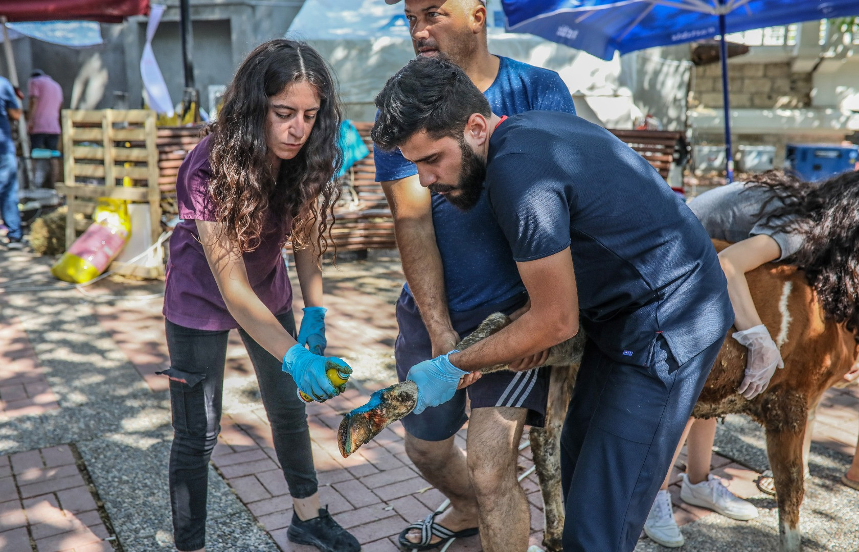 Yangınların acı tablosu ortaya çıktı - Resim: 23