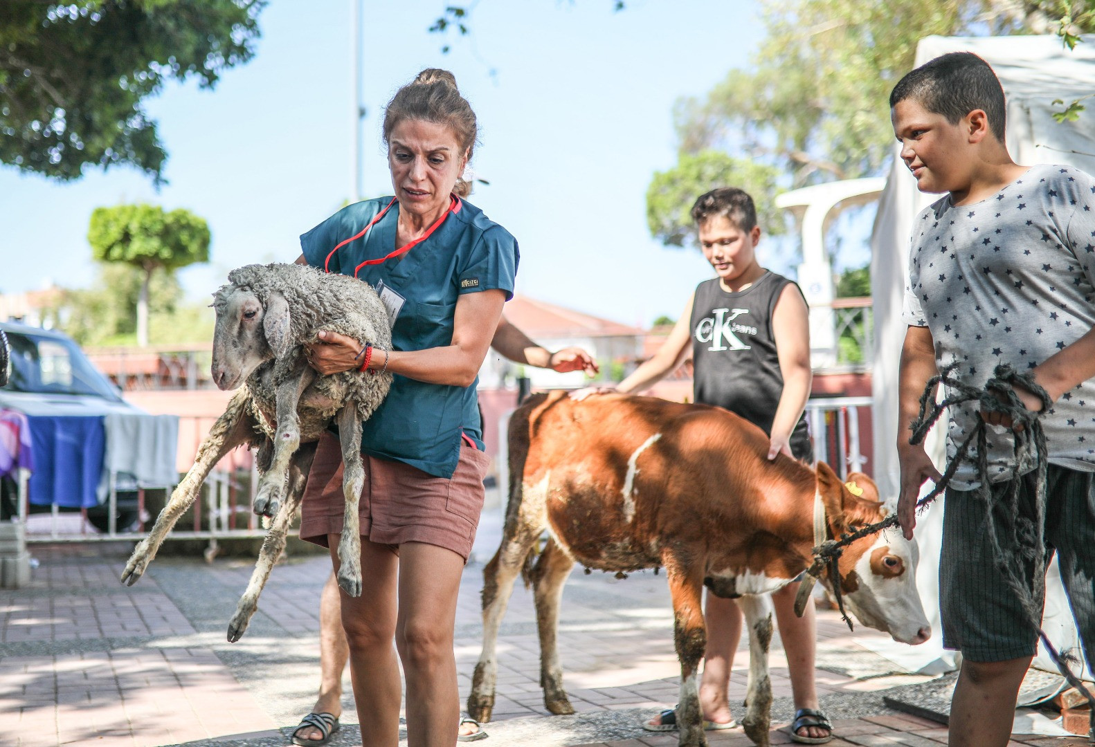 Yangınların acı tablosu ortaya çıktı - Resim: 18