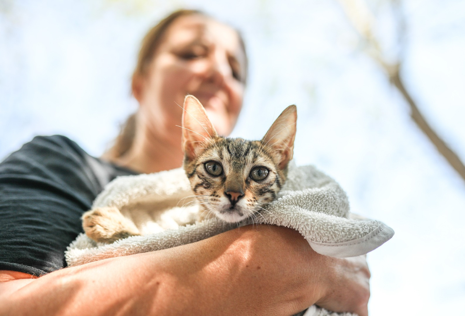 Yangınların acı tablosu ortaya çıktı - Resim: 17