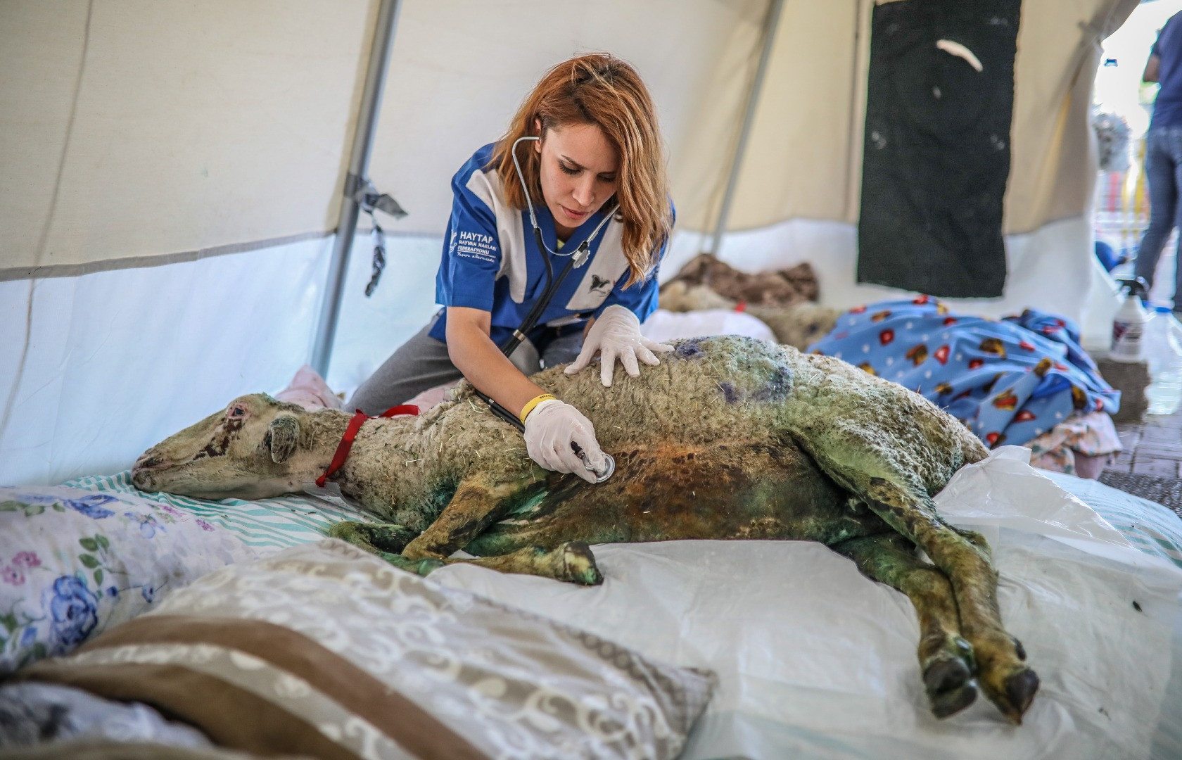 Yangınların acı tablosu ortaya çıktı - Resim: 19