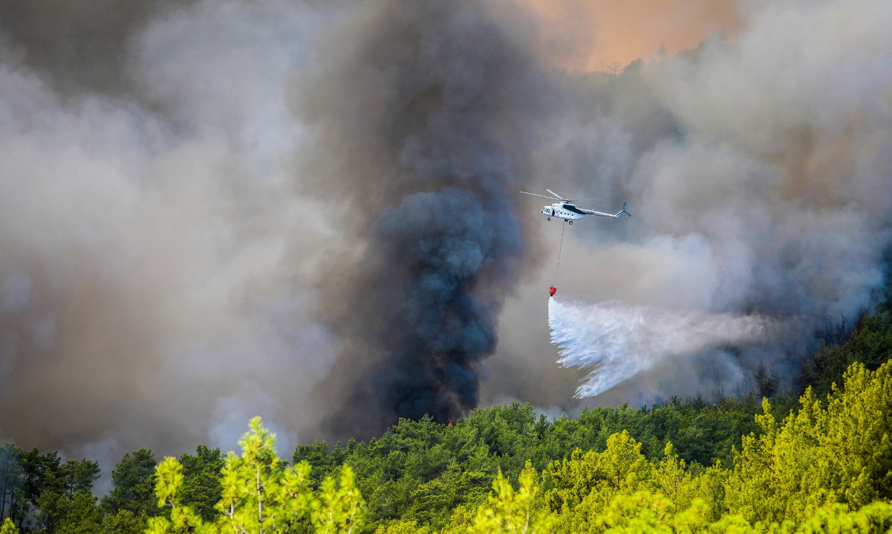 Yangınların acı tablosu ortaya çıktı - Resim: 11