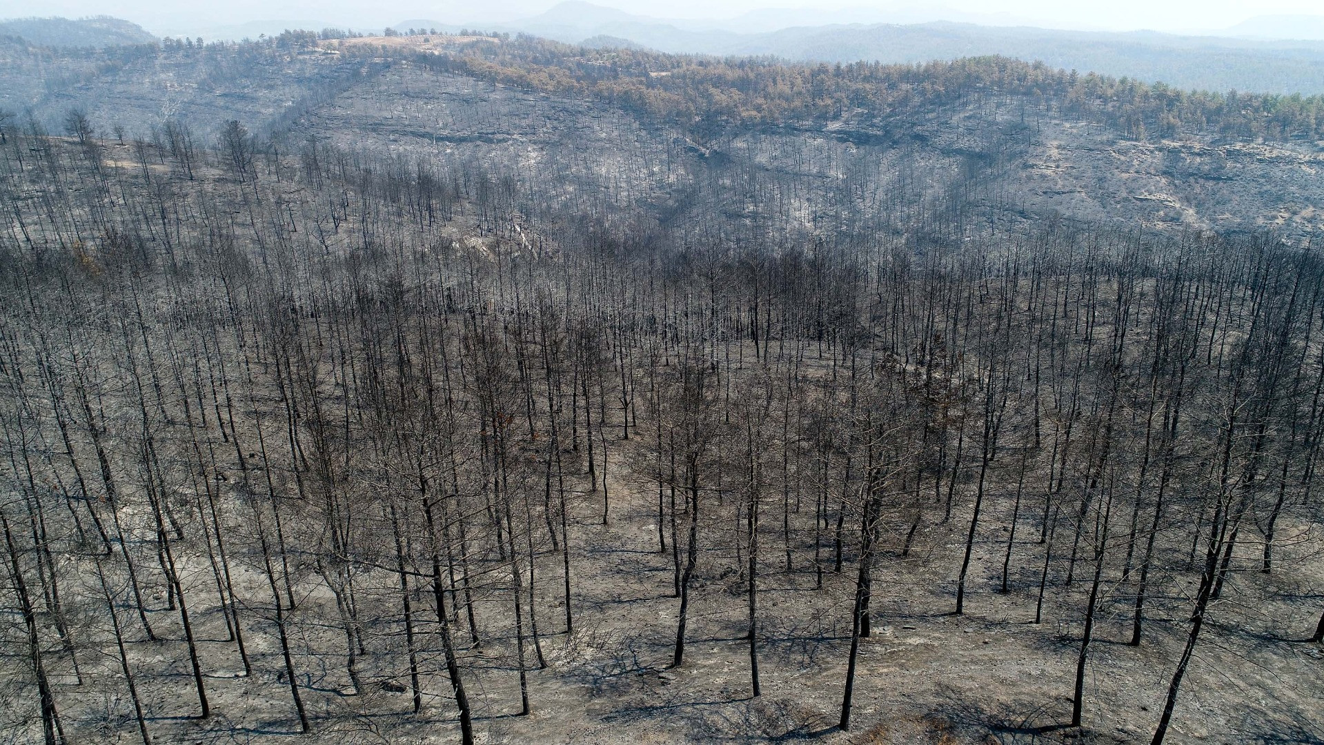 Yangınların acı tablosu ortaya çıktı - Resim: 4